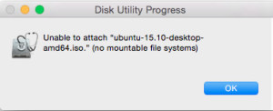 Error mounting file system